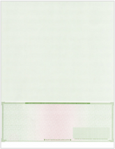 High Security Blank Check on Bottom