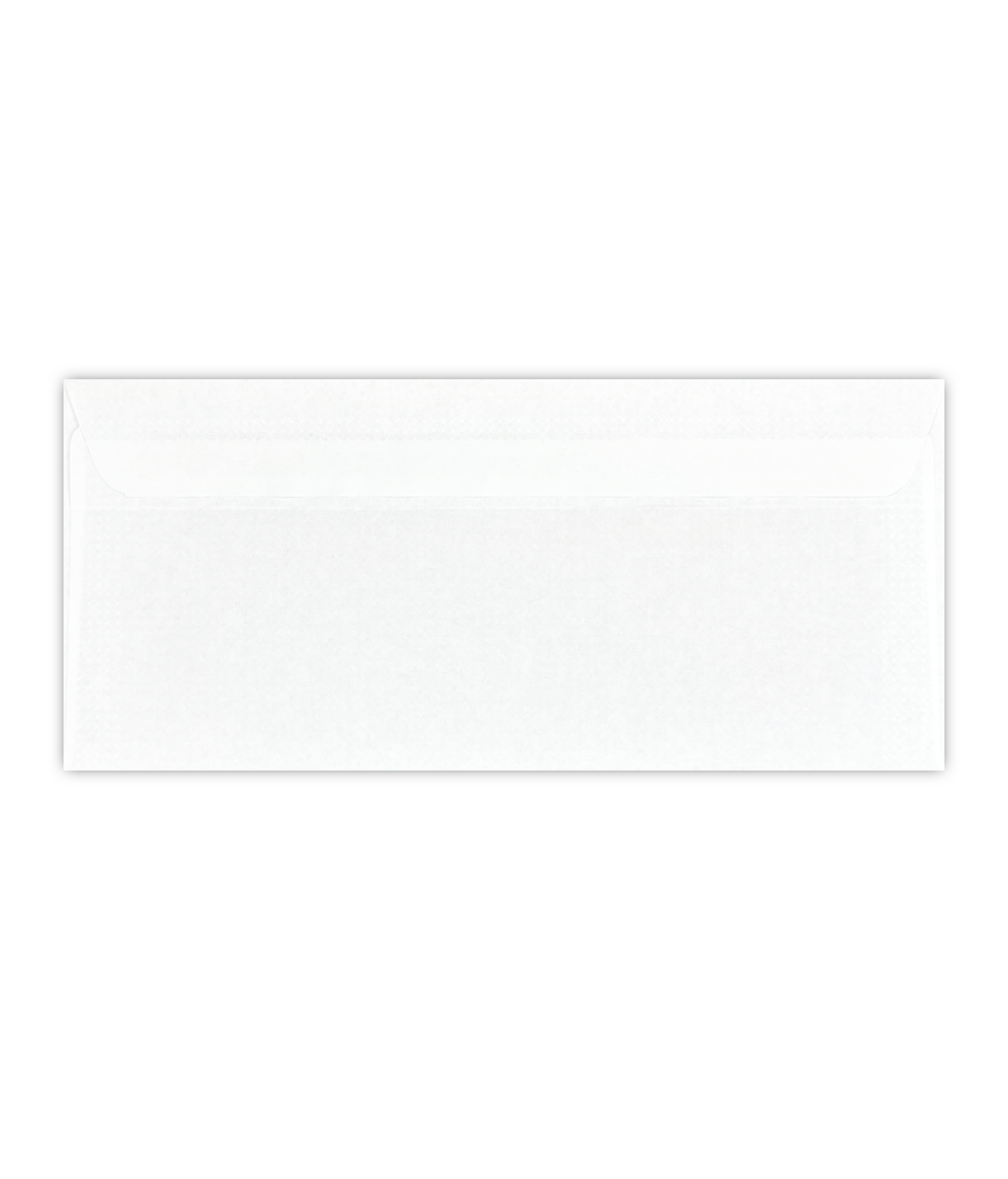 Envelopes -   Peel & Seal Double Window Check Envelopes (8801)
