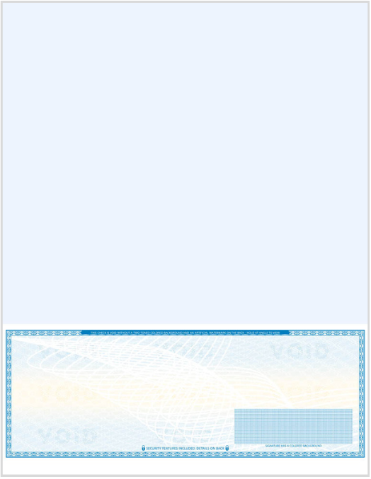 High Security Blank Check on Bottom