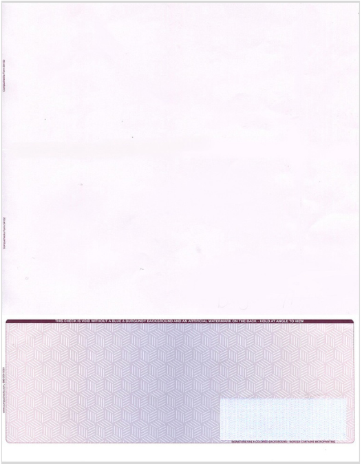High Security Blank Check on Bottom