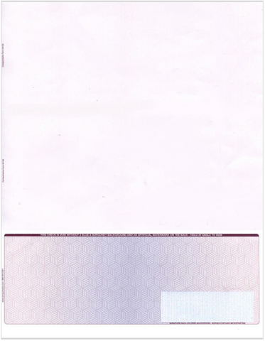 High Security Blank Check on Bottom