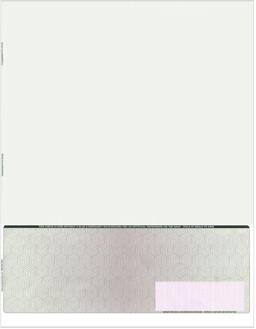 High Security Blank Check on Bottom