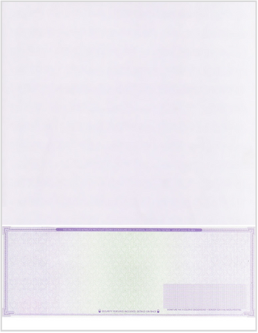 High Security Blank Check on Bottom